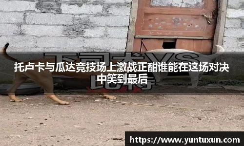 托卢卡与瓜达竞技场上激战正酣谁能在这场对决中笑到最后